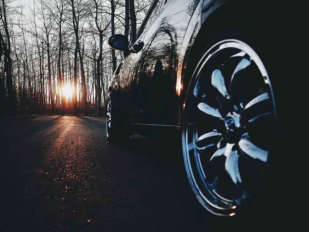 Voiture dans une foret sans feuilles avec un coucher de soleil en face